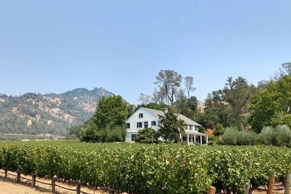 Eisele's Altagracia Cabernet Is in a Class by Itself