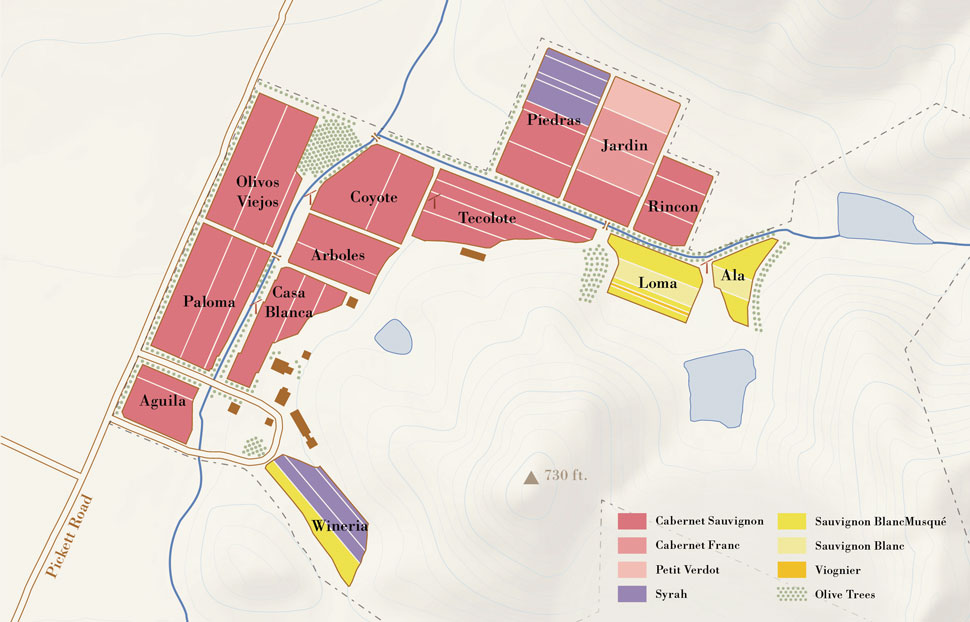 image (1).png
