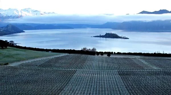 Exploring Central Otago, NZ. Rippon Vineyard.