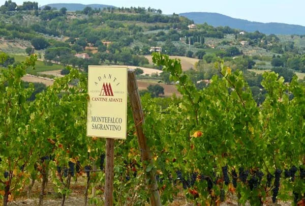 Montefalco in Umbria, Italy.
