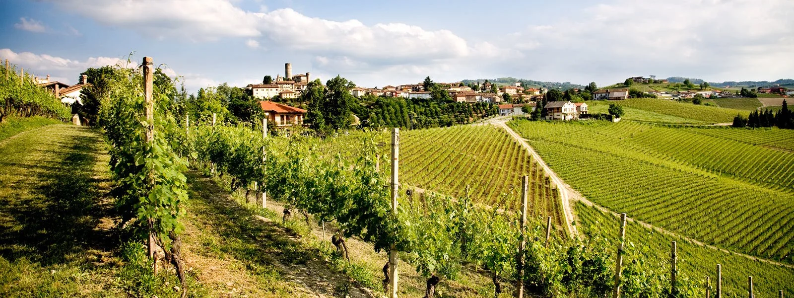Italian Wines Off the Beaten Path