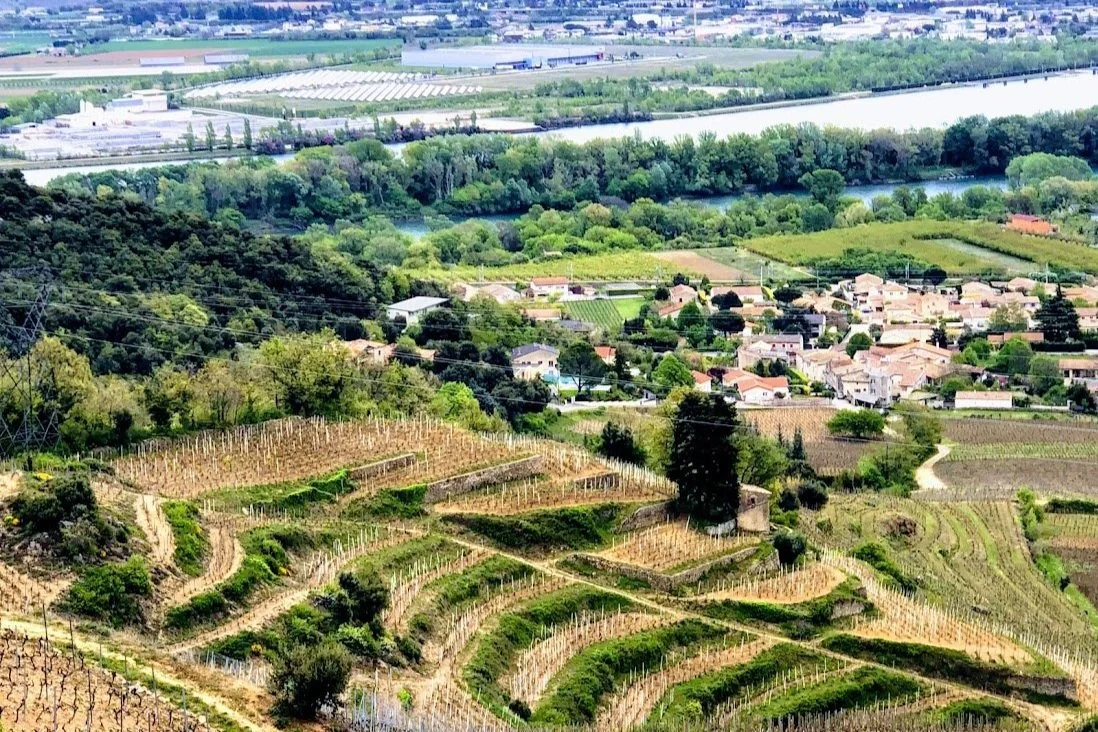 Rhône News: 100-Point CdP Stars, Direct-Import Stunners, Best Buy Values