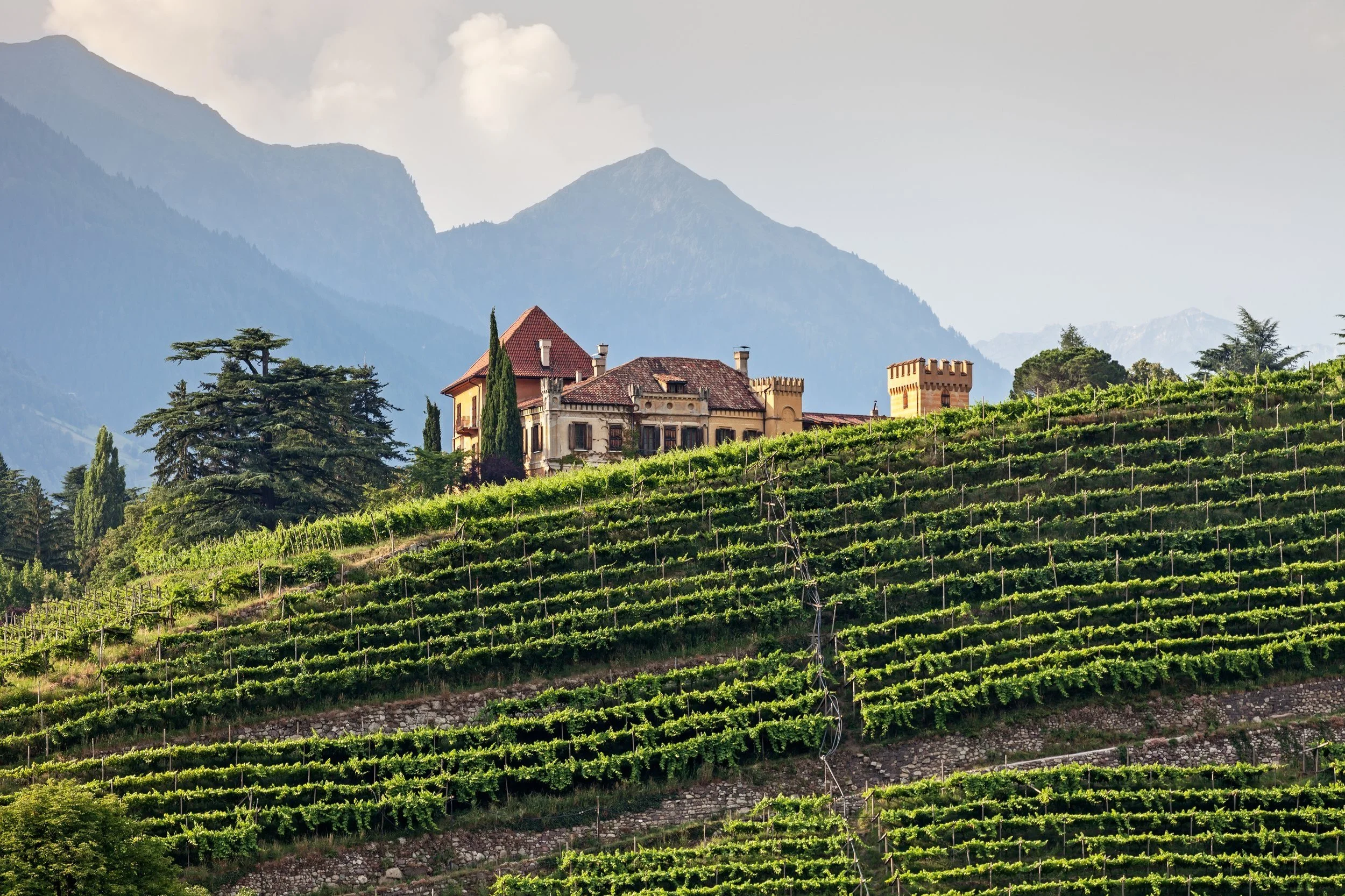 From Friuli to Sicily: A Celebration of Italian Wine
