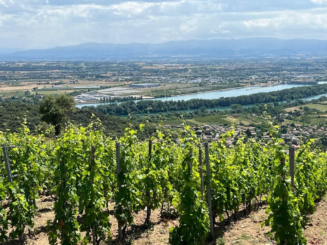 Hand-Picked, Hidden-Gem Favorites from the Rhône