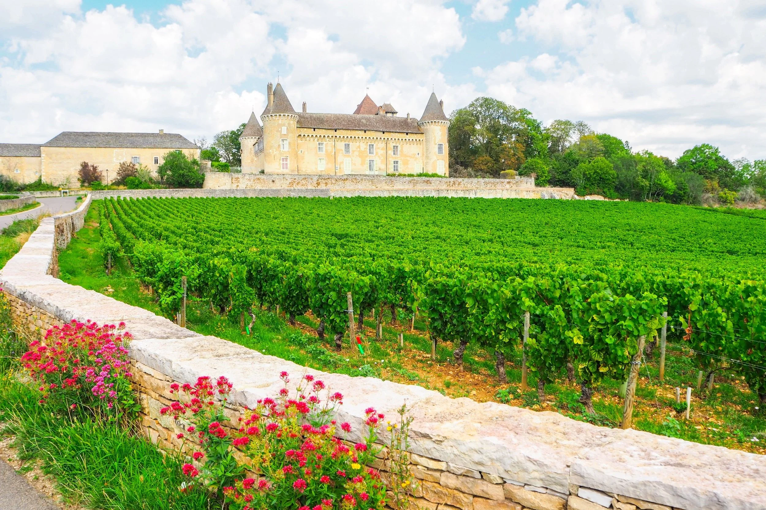 Burgundy News: Collectible Benchmarks and Value Steals