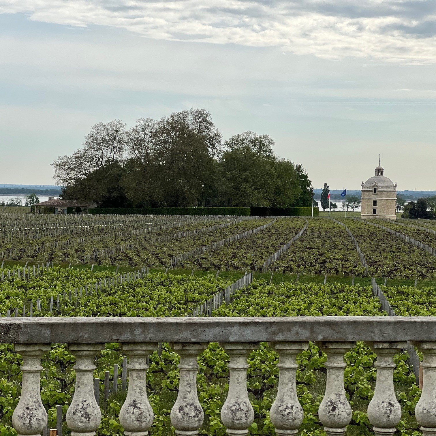 A Quick Pre-Primeur Look at the 2022 Bordeaux Vintage