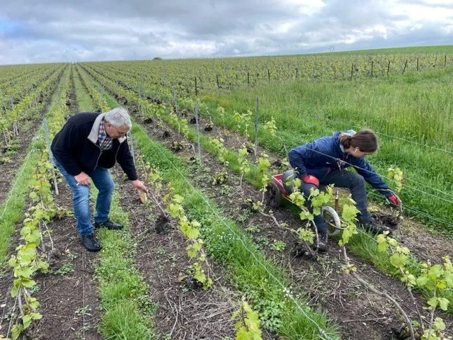 A Visit with Didier Lapie in Champagne