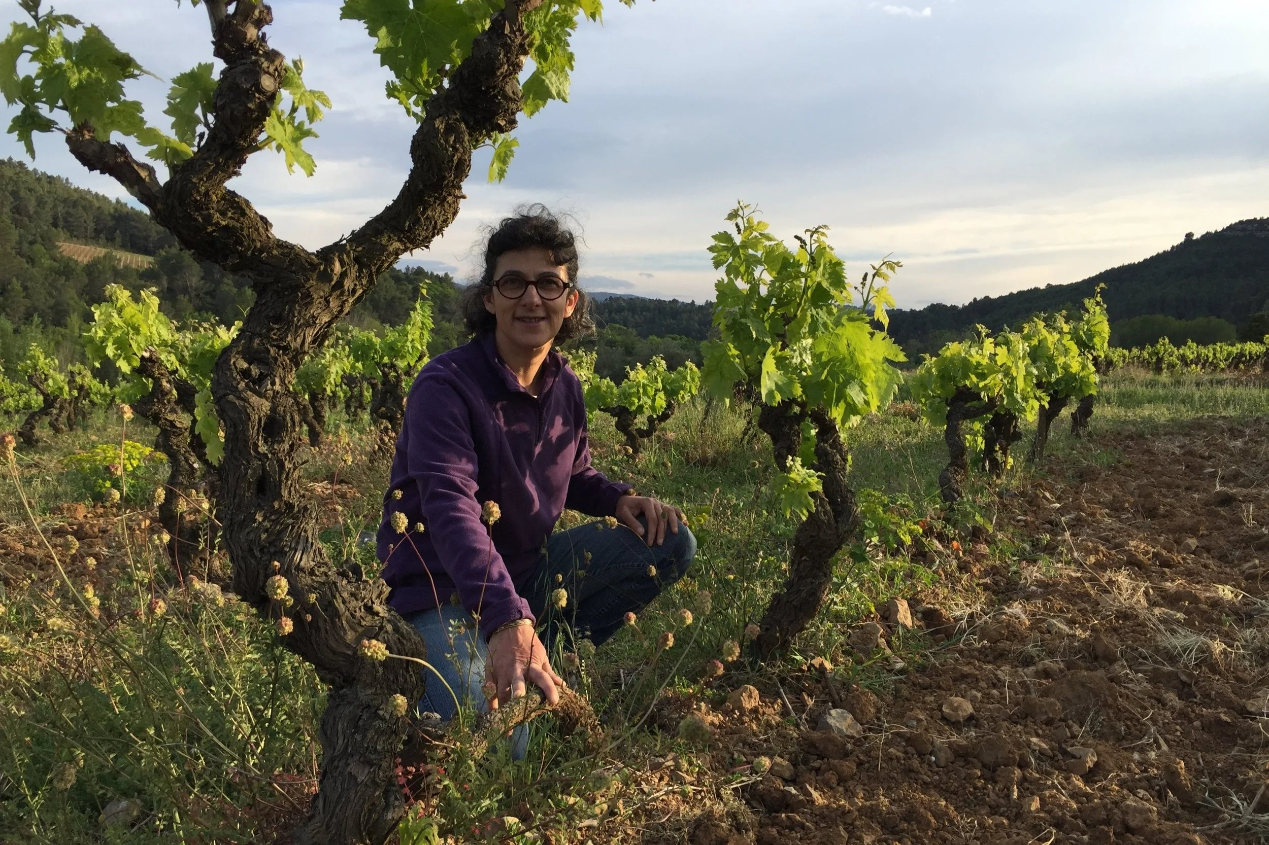 French Regional Wrap Up: Corbières’ Clos de l’Anhel&nbsp;