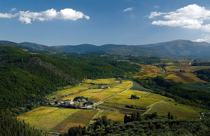 Organic, Terroir-Driven Chianti from Fattoria Selvapiana