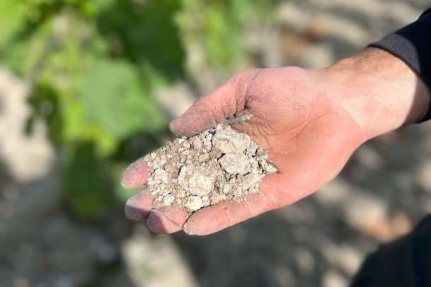 Exceptional Hermitage and Crozes-Hermitage from Domaine Belle