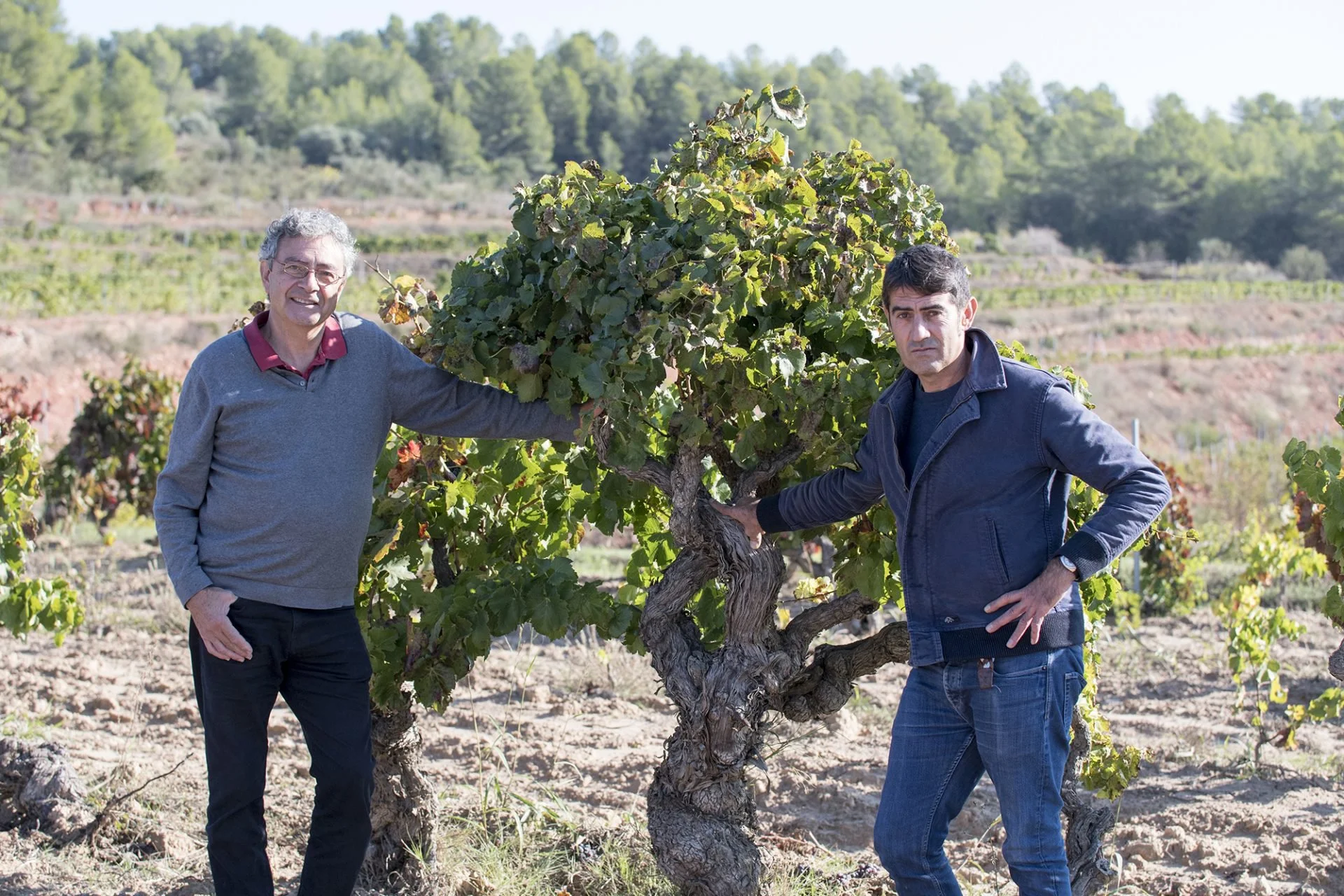 New Direct Import: Catalonia’s Cal Bessó