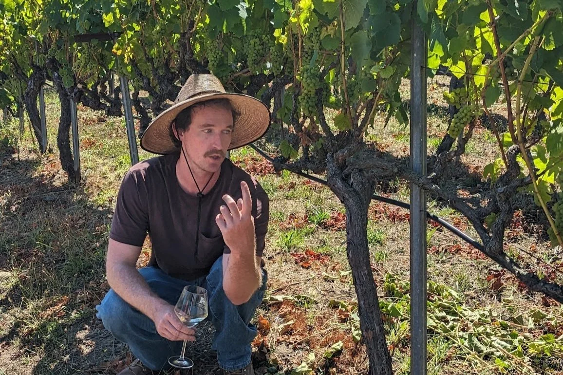 Small-Production Wines in Santa Cruz: Alfaro Family Vineyards and Farm Cottage