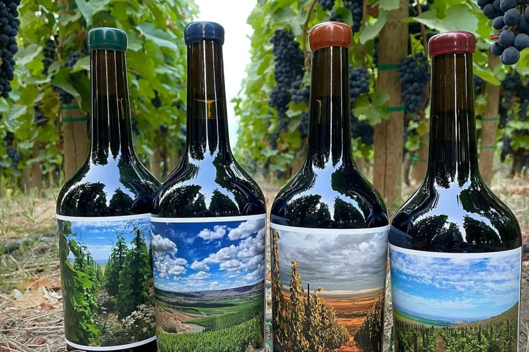 Changing the Game in Washington State Wine: WeatherEye Vineyards
