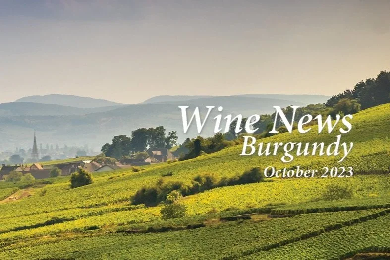 The Best Bang for Your Buck in Burgundy