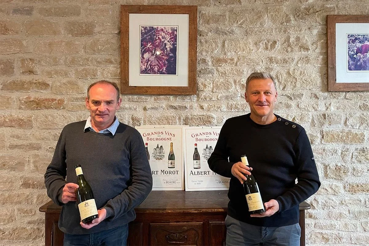 Domaine Albert Morot's Seductive 2021 Beaunes
