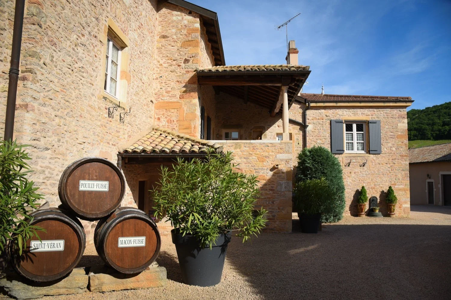 White Burgundy for Every Day of the Week by Château Vitallis