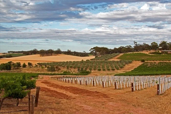 Cabernet Down Under