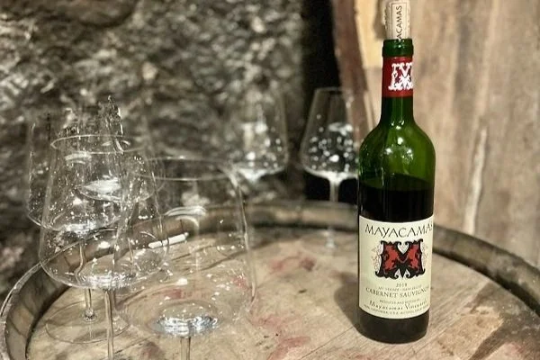 Benchmark Producers to Start Your Wine Collection