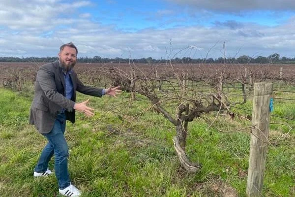 Tahbilk: Australia's Lopez de Heredia