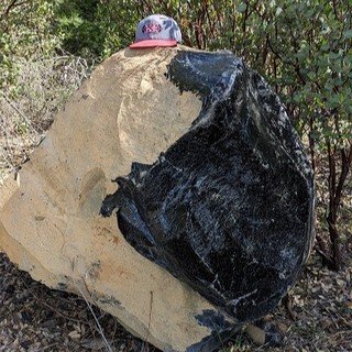 At the highest peak of the Mayacamas Mountain range, the Obsidian Ridge Vineyard grows vines among extreme conditions: obsidian glass topsoil and giant boulders formed by lava flow from 500,000 years ago; windy, icy conditions; and intense UV rays. T