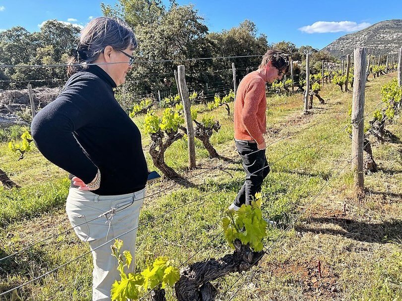 Keith&rsquo;s report from the Languedoc-Roussillon:
&ldquo;I started the day in Biodynamic and I finished it that way too. I capped off my Sunday with a visit to Domaine de la Reserve d&rsquo;O in Terrasses du Larzac. The wines of Marie and Fred Chau