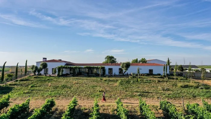 Portuguese Wine 101: Alentejo