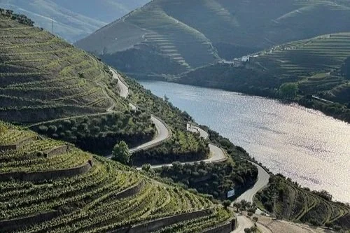 Portuguese Wine 101: Douro Valley