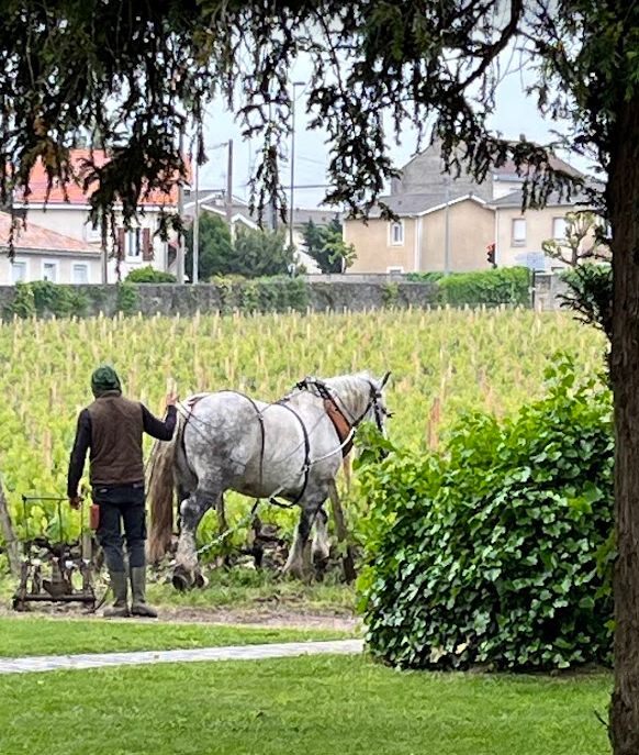 Horse and Plow at Les Carmes.png