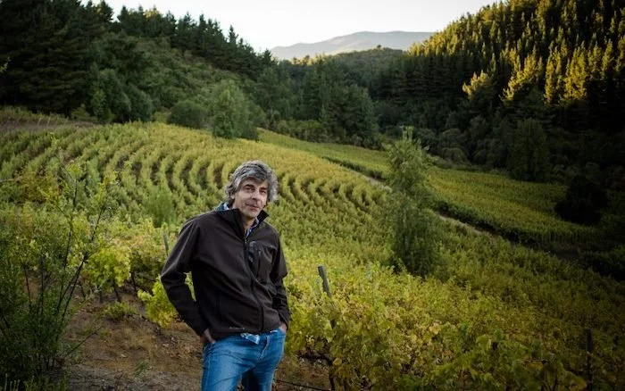Chile's Soulful Laberinto Wines Pull 95+ Scores at Less Than $22