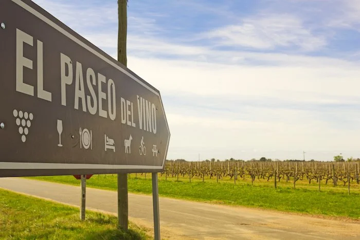Off-the-Beaten Wine Route in South America