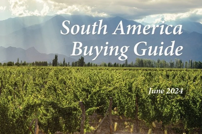 South America Wine News: Top Picks from Chile, Argentina, and Uruguay