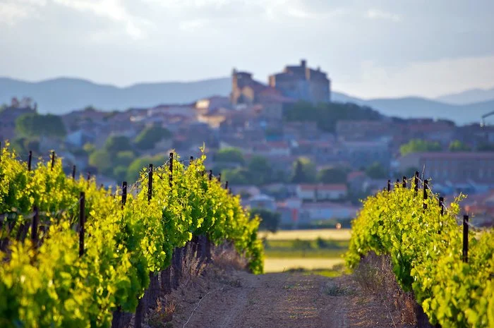Parade of Provençal Rosés
