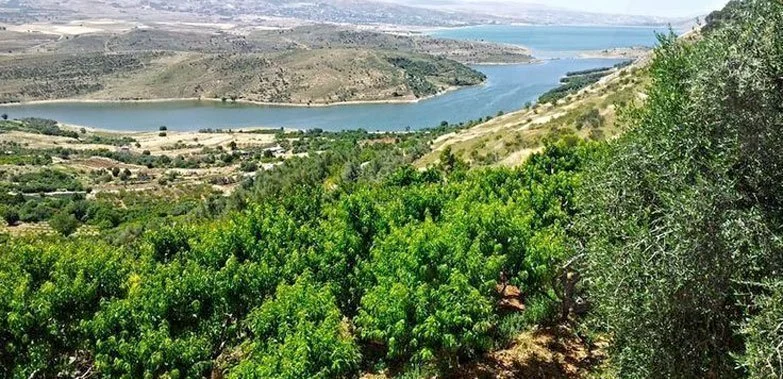 Greece and Lebanon Are World-Class Destinations for Delicious Rosé