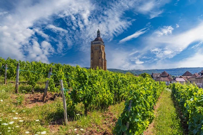 The Wines of Jura’s Domaine de l'Aigle à Deux Têtes Define Finesse