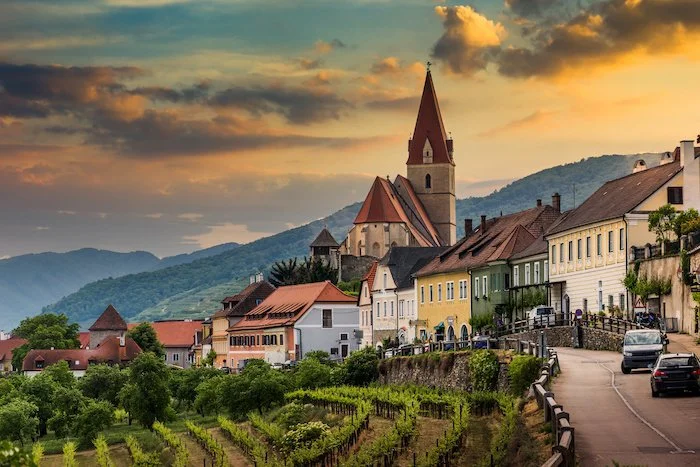 Affordable, Organically Grown, Perfect for Summer: Racy Grüner Veltliner from Austria