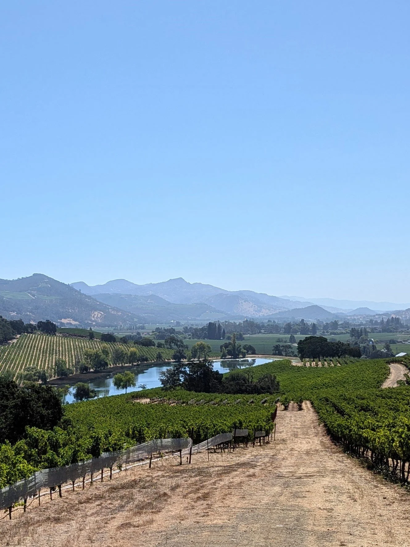 One of the Most Unique and Beautiful Properties in All of Napa Valley