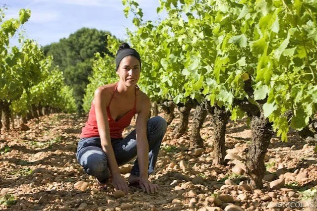 Mas de Libian's Biodynamic, Chillable Reds from Southern Rhône