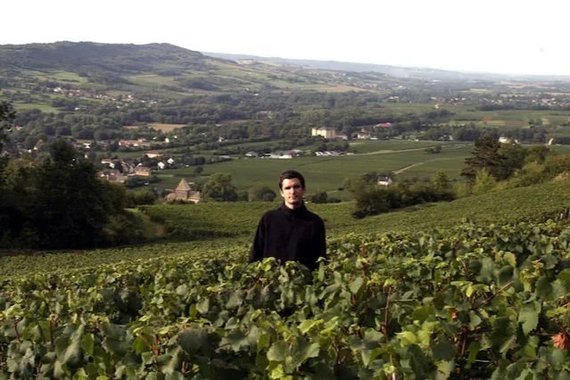 Santenay's Château de la Charrière Overperforms Year After Year