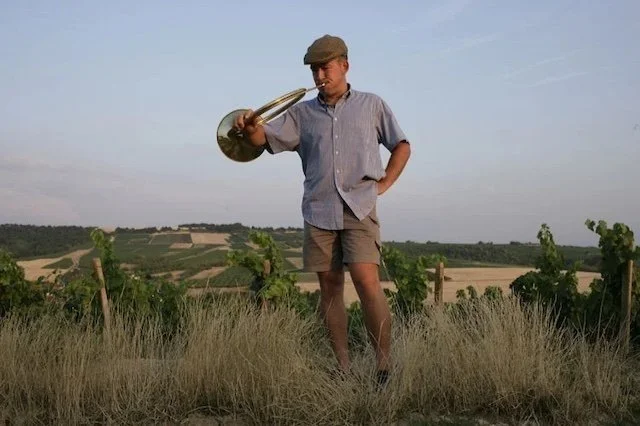 Finding the Values in the Mâconnais with Domaine Renaud 