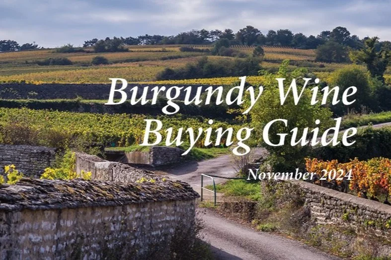 Burgundy Buying Guide: Direct Import Values and Remarkable Finds