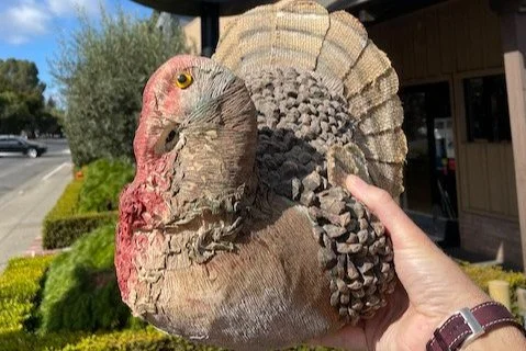 It's Time to Talk Turkey... Wines!
