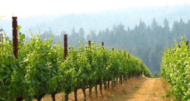 Sparkling Wines from the Historic Schramsberg Winery Are As Good As Ever