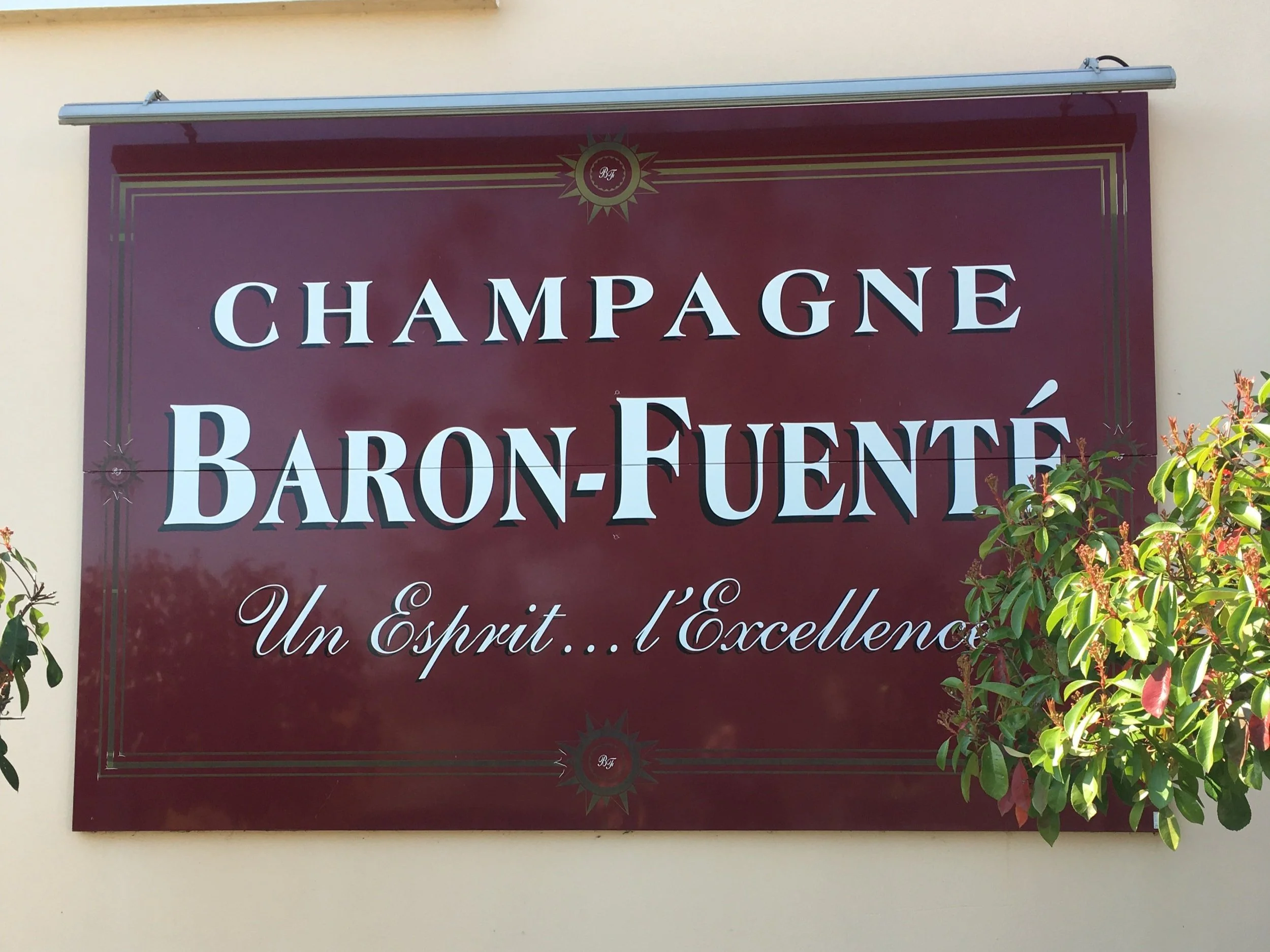 Baron-Fuenté: Patience and Value