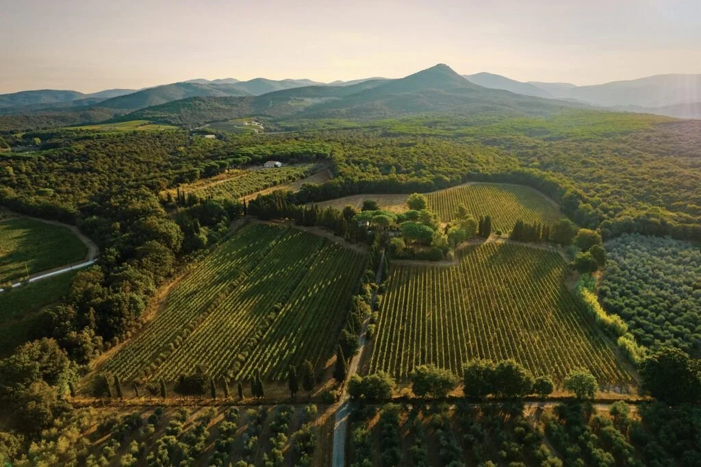 Tuscany’s Wines Provide Endless Charm
