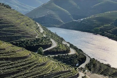 Dao Is the "Burgundy of Portugal"