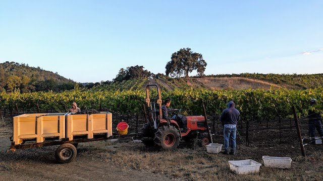 Hiding in Plain Sight: Hendry Ranch Wines in Napa