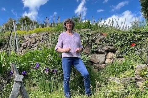 The Oft-Overlooked but Overdelivering White Wines of the Rhône