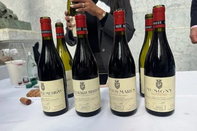 Burgundy and Beyond: The Storied History and Current Vintages