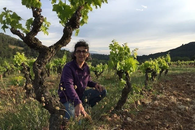 Clos de l’Anhel: Soulful, Biodynamic Wines from Corbières
