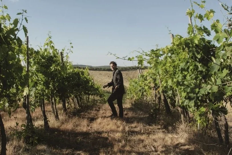 Tenuta di Carleone: The New Frontier of Sangiovese in Chianti Classico